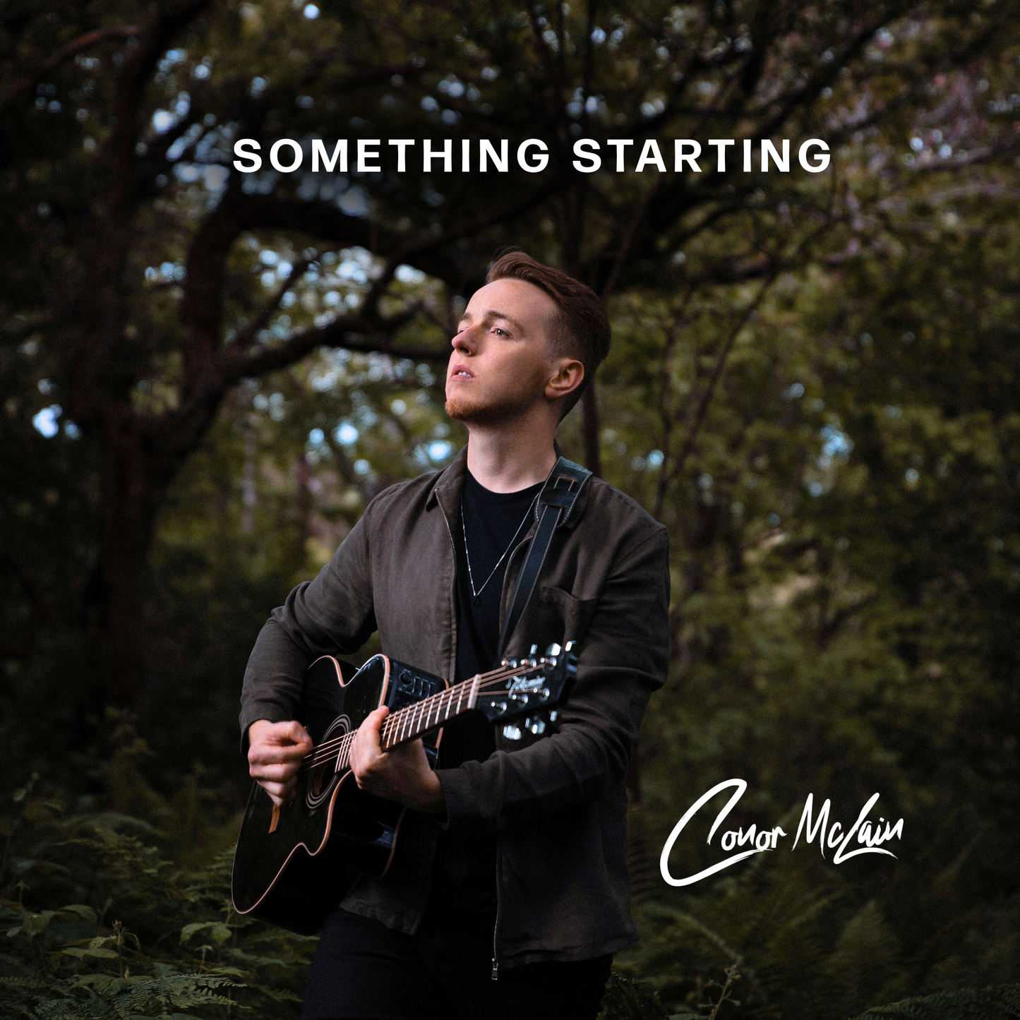 Something Starting CD